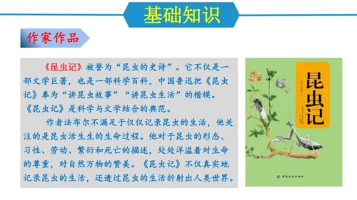 第五单元（单元复习课件）-八年级语文上册同步备课系列（统编版）(共37张PPT)