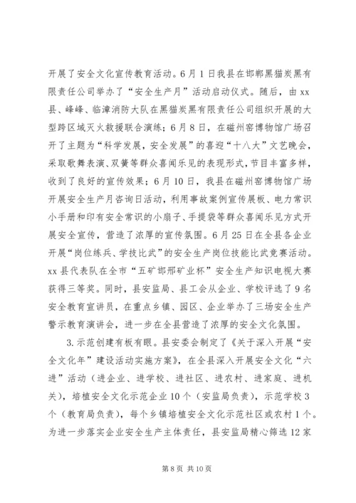 县安监局工作报告.docx