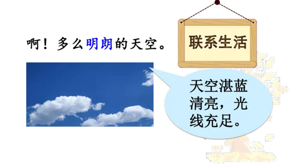 5 铺满金色巴掌的水泥道