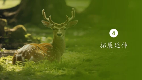 人教版生物八年级上册6.3《保护生物的多样性》课件(共27张PPT)