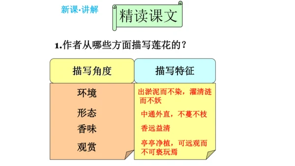 17 短文两篇《爱莲说》课件(共28张PPT)