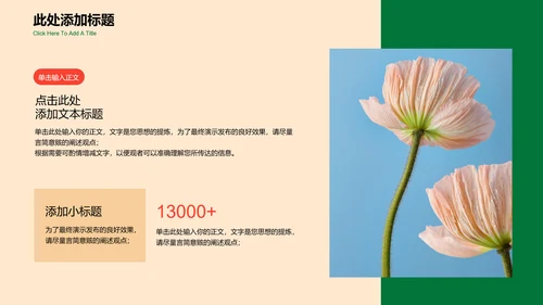 彩色小清新插画通用总结汇报PPT演示模板