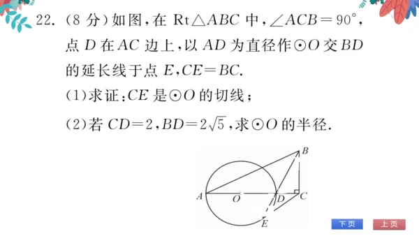 九上数学 期末自我测评 习题课件
