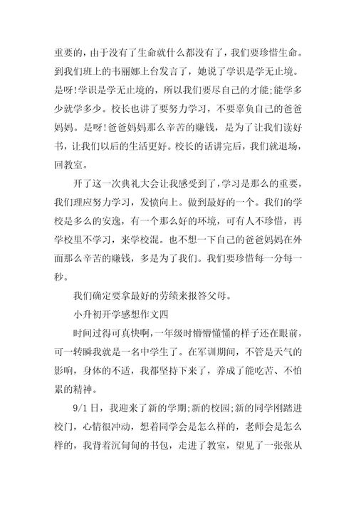 小升初开学感想