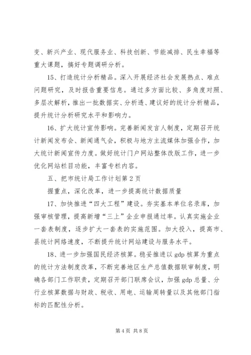 市统计局工作计划 (5).docx