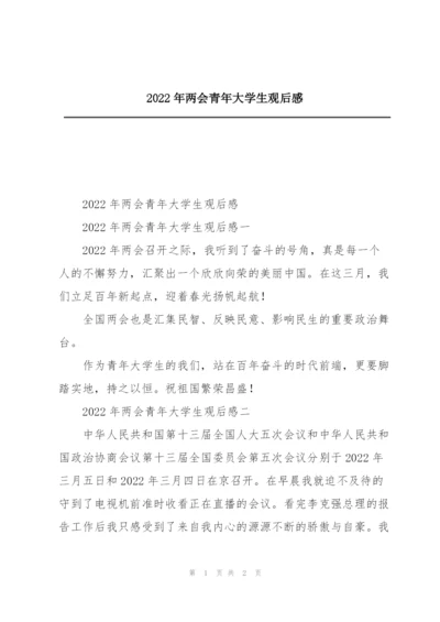 2022年两会青年大学生观后感.docx