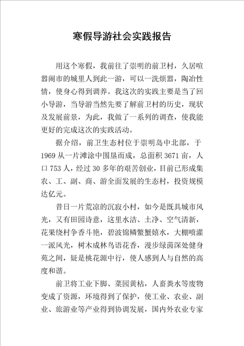 寒假导游的社会实践报告