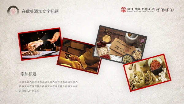 传统中医学中医院中医文化中草药PPT模板