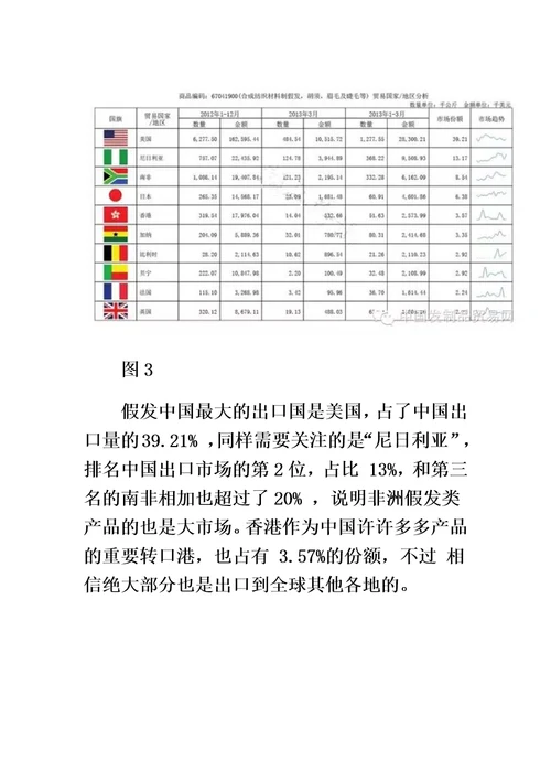 跨境电商假发国际市场分析