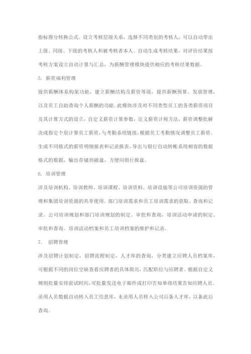 北明软件人力资源管理系统.docx