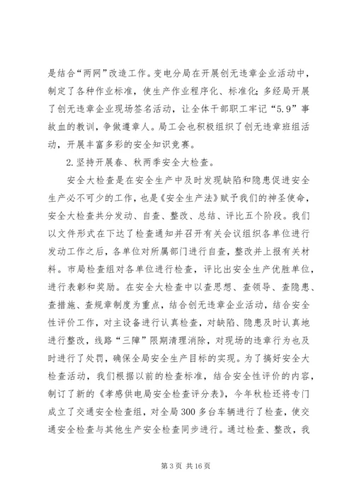 电力局安全保卫工作总结及计划 (3).docx