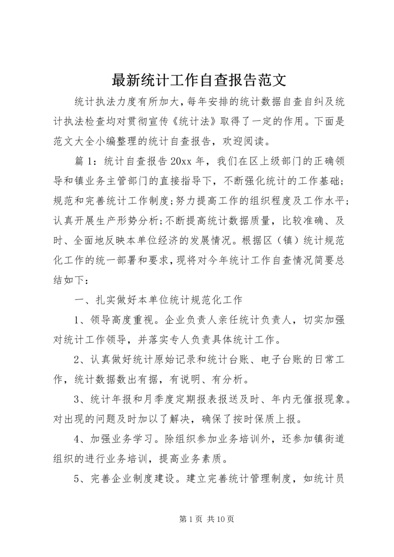 最新统计工作自查报告范文.docx