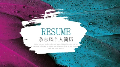 蓝紫拼色杂志纹理风个人简历PPT模板