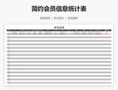 简约会员信息统计表