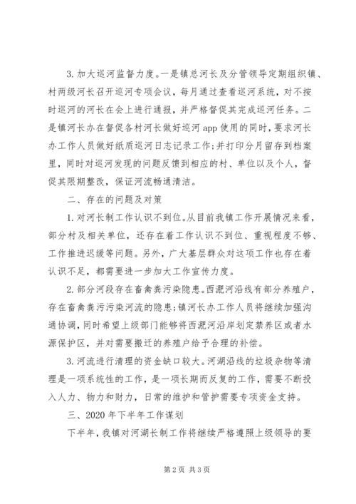 乡镇某年上半年河湖长制工作总结和下半年工作计划.docx