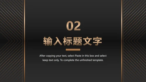 黑金商务项目总结PPT模板