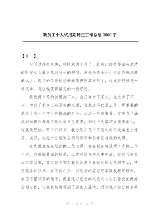 新员工个人试用期转正工作总结3000字.docx