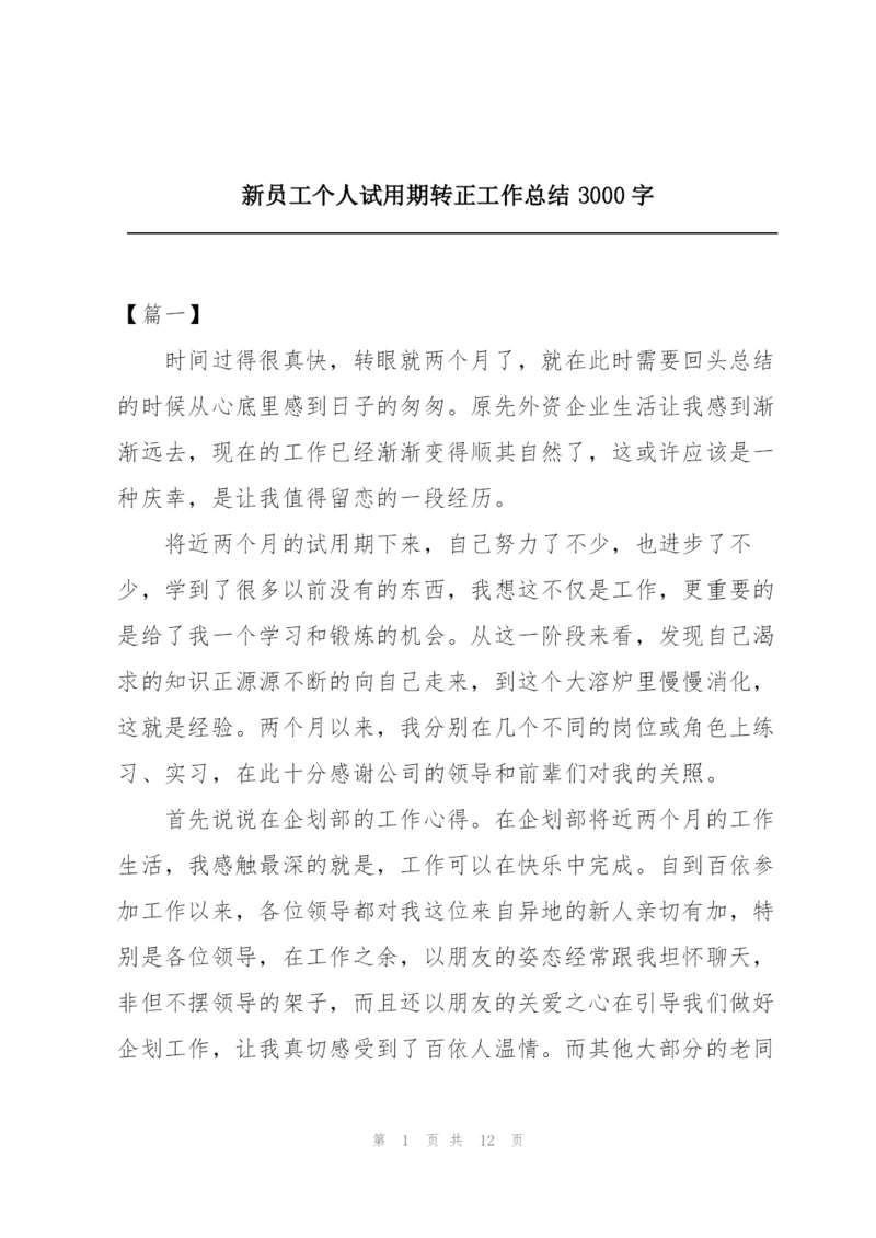 新员工个人试用期转正工作总结3000字.docx