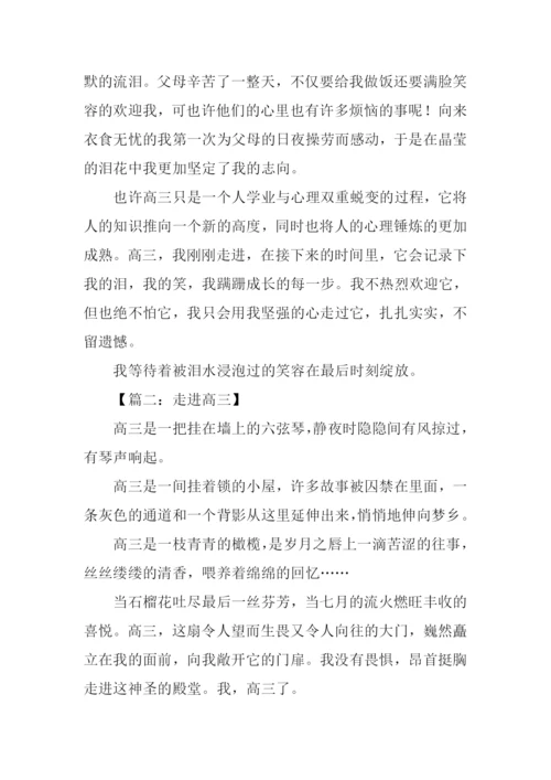 走进高三作文.docx