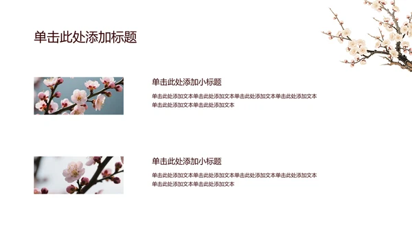 白色简约风梅花介绍PPT模板