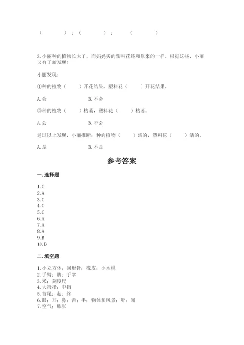 教科版一年级上册科学期末测试卷（历年真题）word版.docx