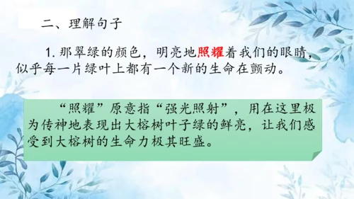 部编版五年级上册第七单元复习  课件