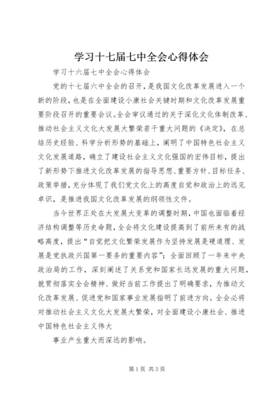 学习十七届七中全会心得体会 (2).docx