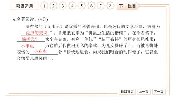 统编版八上语文第二次月考综合检测卷 习题课件（41张PPT）
