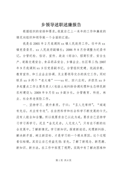 乡领导述职述廉报告.docx