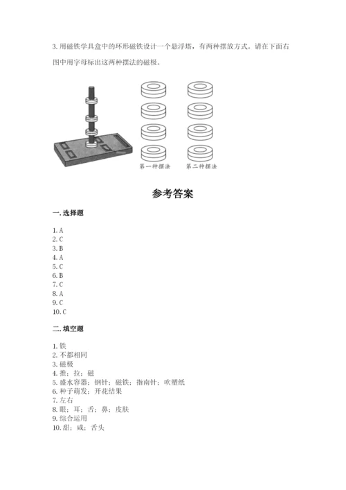 教科版小学科学二年级下册 期末测试卷附参考答案ab卷.docx