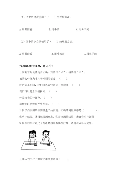 教科版一年级上册科学期末测试卷1套.docx