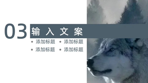 狼性企业文化建设通用PPT模板