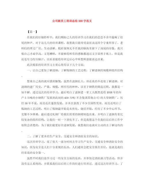 精编之公司新员工培训总结500字范文.docx