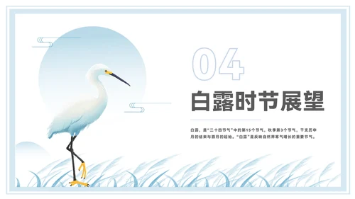 淡蓝色中国风白露节气PPT模板