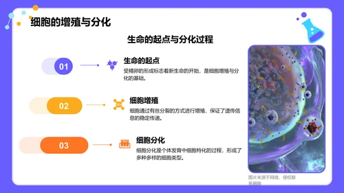 紫色插画风高中生物课程教学课件PPT模板