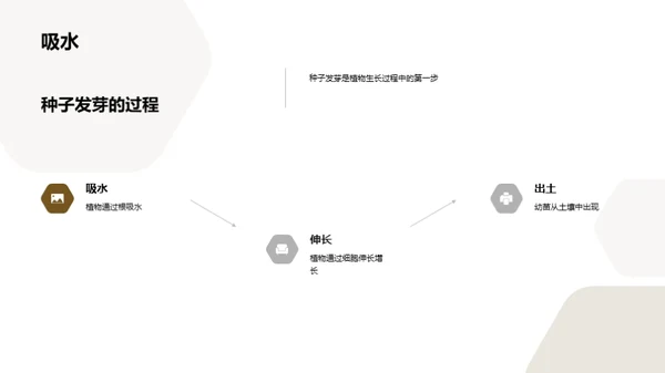 探秘植物成长之旅