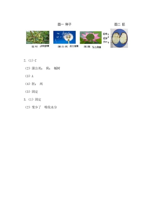 教科版科学四年级下册第一单元《植物的生长变化》测试卷名师推荐