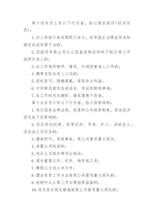 公司奖惩制度实施细则.docx