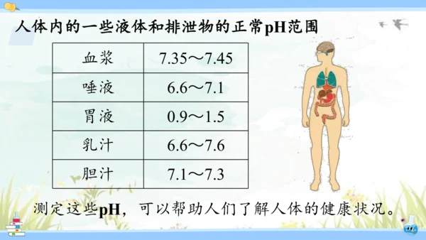 10.2 酸和碱的中和反应课件(共42张PPT)2023-2024学年九年级化学人教版下册