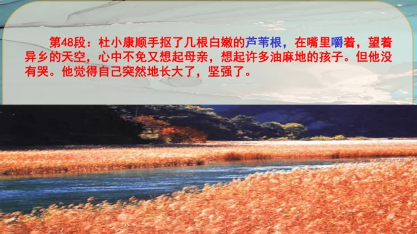 17《孤独之旅》课件