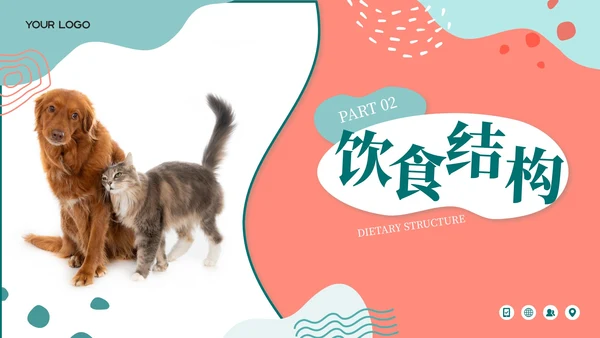 莫兰迪色卡通风宠物饲养心得经验分享PPT模板