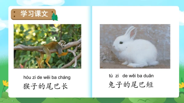 课文6《比尾巴》（教学课件）