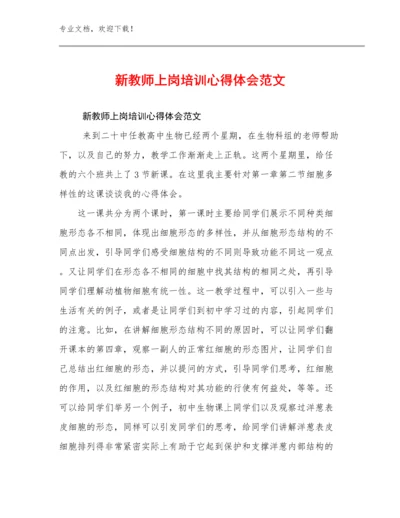 2024年新教师上岗培训心得体会范文优选例文25篇文档汇编.docx