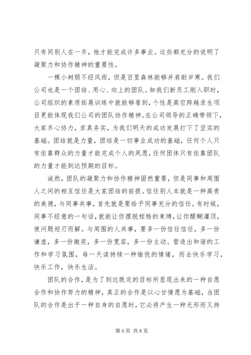 公司企业宣传稿范文.docx