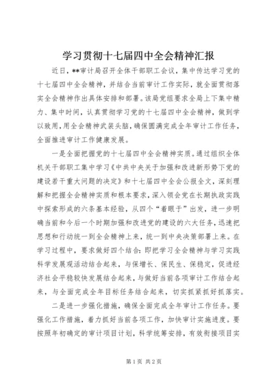 学习贯彻十七届四中全会精神汇报.docx