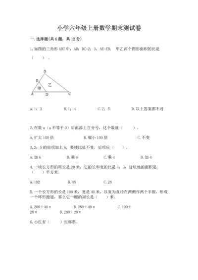 小学六年级上册数学期末测试卷（易错题）word版.docx