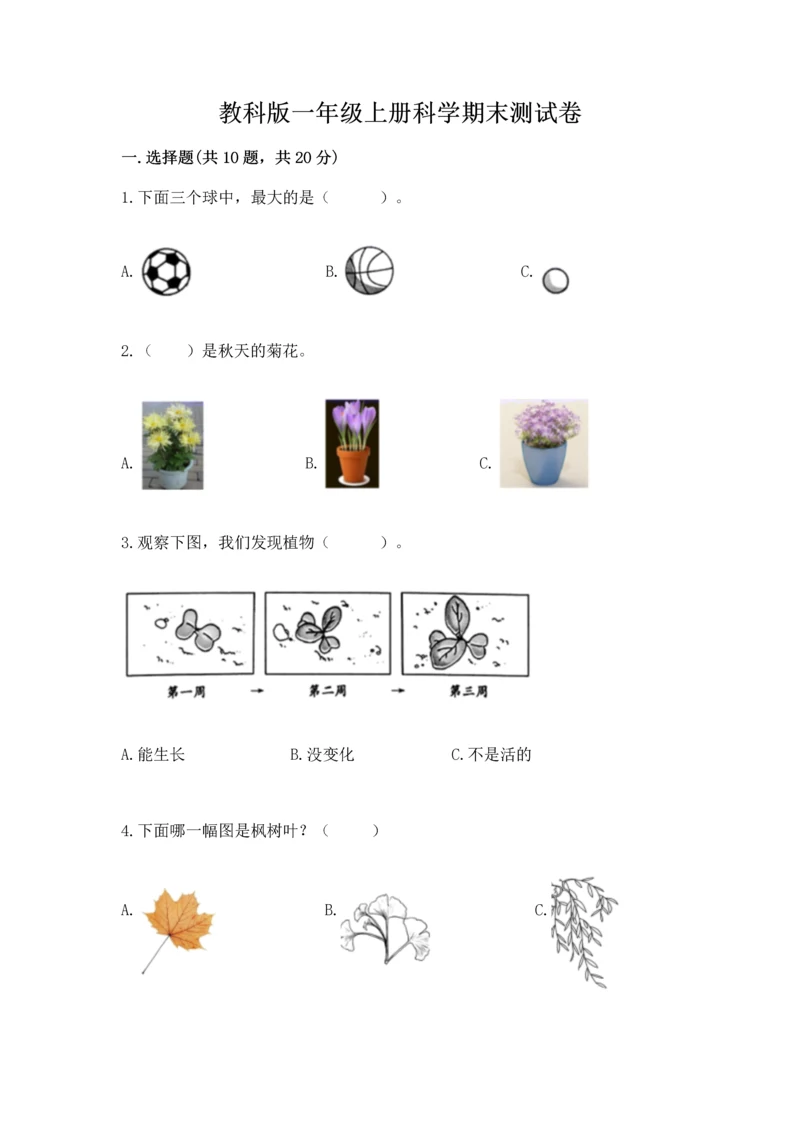 教科版一年级上册科学期末测试卷审定版.docx