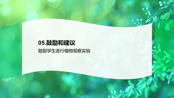 谷雨影响下的植物生长PPT模板