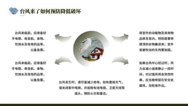 台风来袭，防台风安全教育培训通用PPT模版