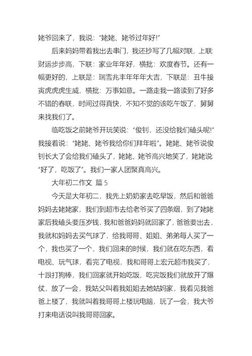 精华大年初二作文汇编八篇